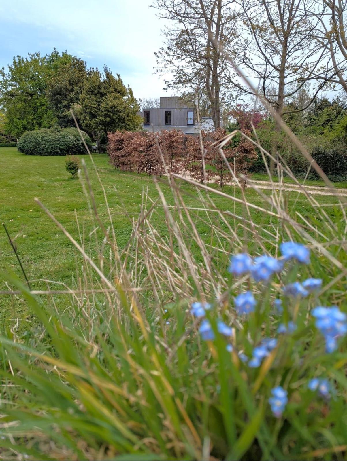 Unique & Rural Child Friendly Annexe With Large Gardens, Games & Tennis Court - Chichester Holiday Properties Extérieur photo