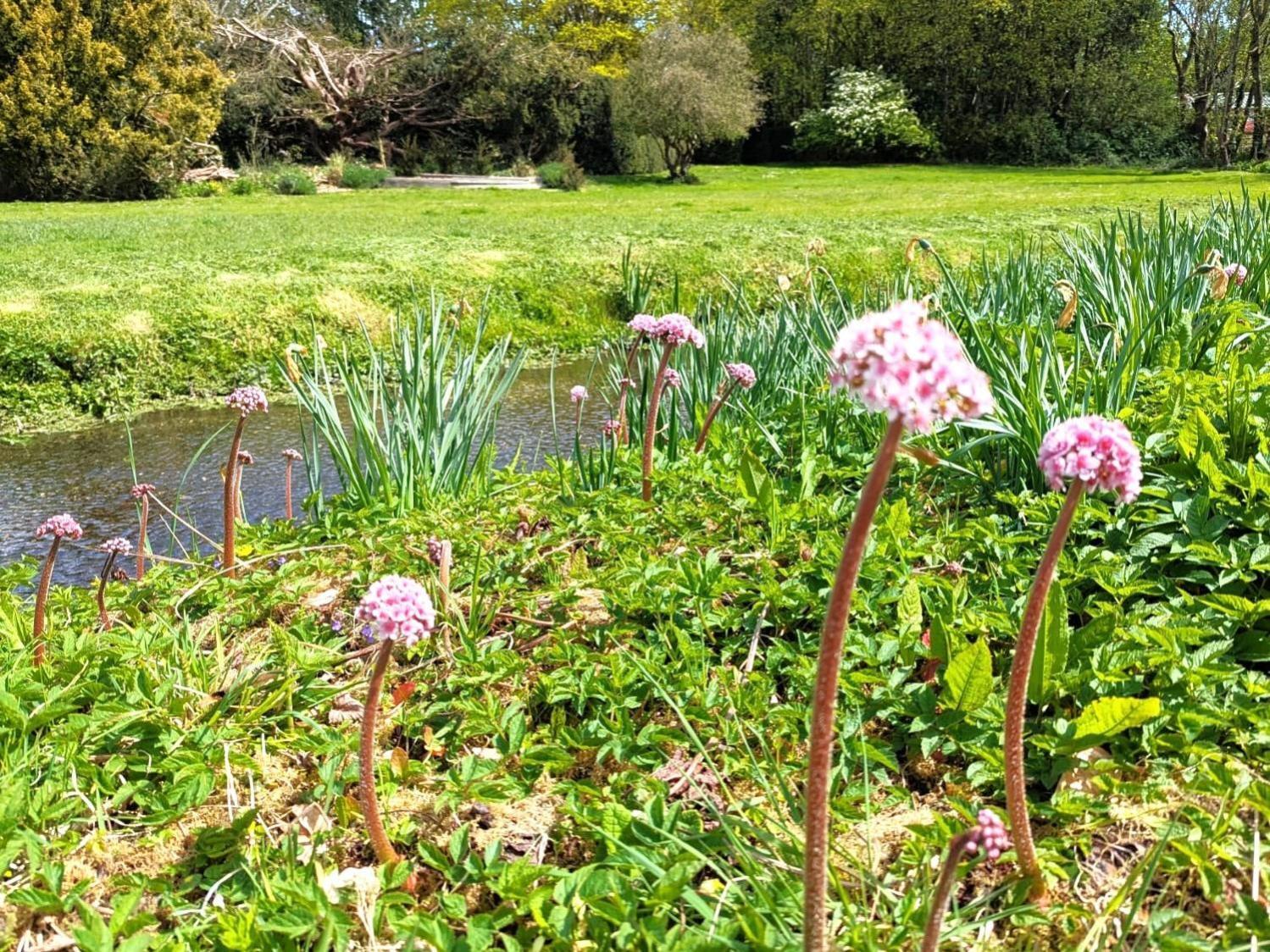 Unique & Rural Child Friendly Annexe With Large Gardens, Games & Tennis Court - Chichester Holiday Properties Extérieur photo