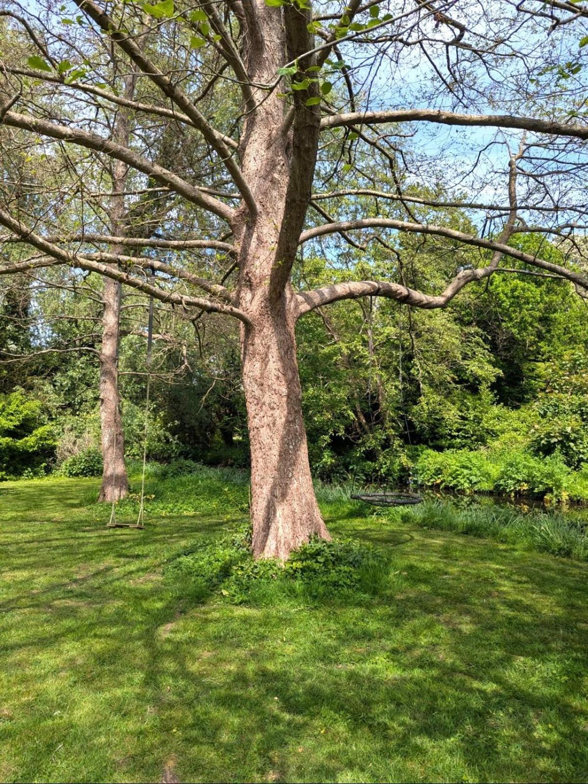 Unique & Rural Child Friendly Annexe With Large Gardens, Games & Tennis Court - Chichester Holiday Properties Extérieur photo