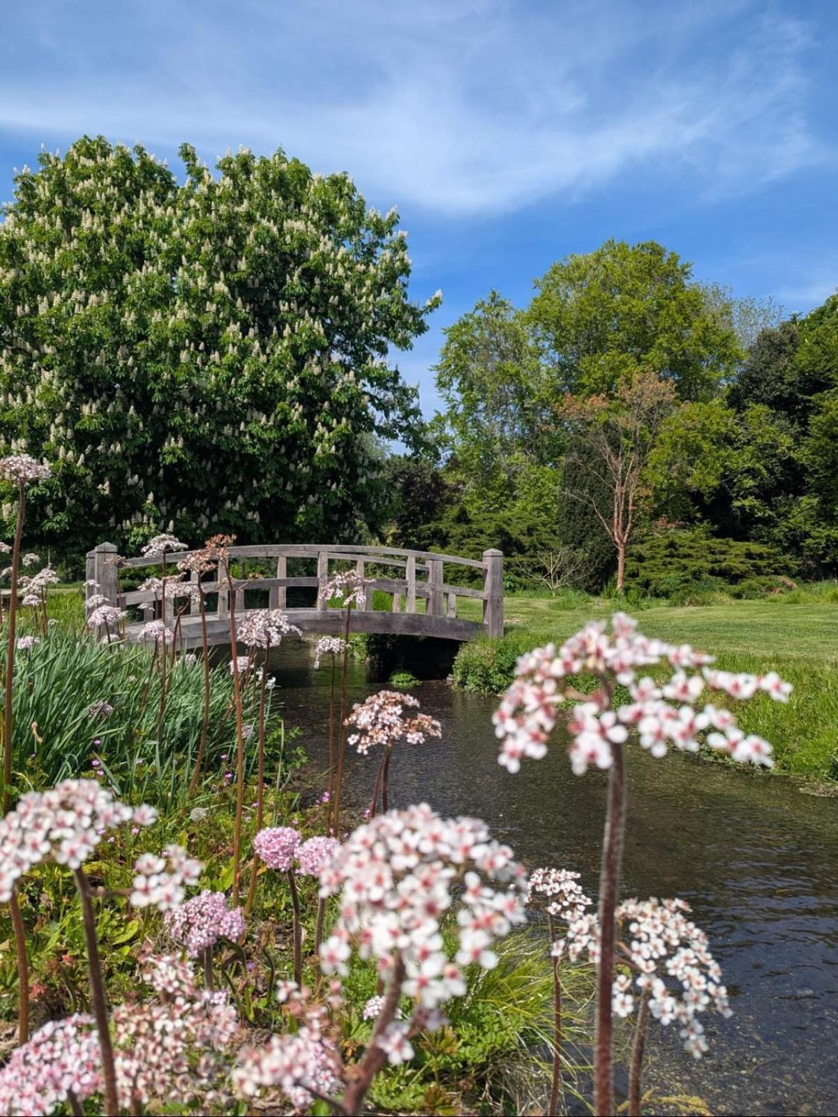 Unique & Rural Child Friendly Annexe With Large Gardens, Games & Tennis Court - Chichester Holiday Properties Extérieur photo